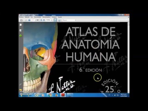 Anatomia de netter pdf descargar gratis